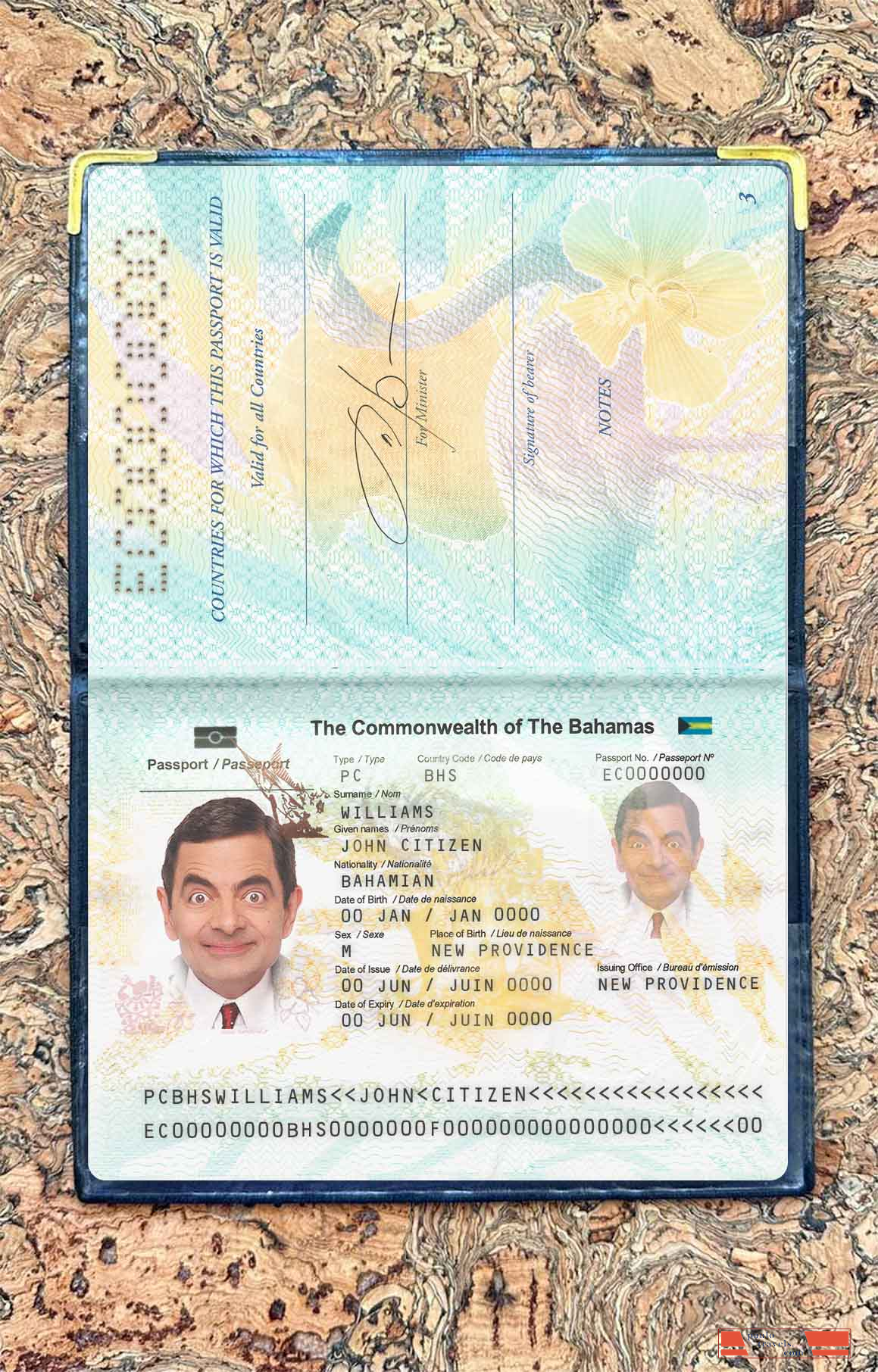 Bahamas passport photo look PSD template